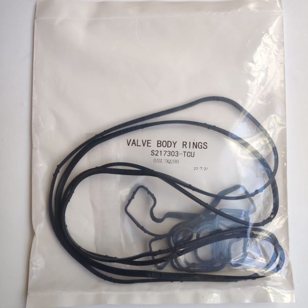 DSG 0AM DQ200 TCU RUBBER RING SEALS